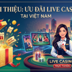 Ưu Đãi Live Casino Hấp Dẫn Nhất Việt Nam 2024