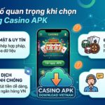 Tải APK Casino Vietnam: Ứng dụng game tốt nhất 2024